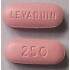 Generic Levaquin (Levofloxacin) 250 mg